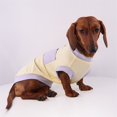 thumbnail image 4 of HQREA Dachshund Dog Clothes Anti-UV Cooling Vest Tank Top with Pocket Stretchy Sleeveless Summer T-Shirt for Mini Dachshund, 4 of 6