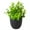 Large Leaf Eucalyptus, variant on 1 Pc Mini Fake Spring Grass Plant, 7.09"-8.66" Small Artificial Potted Greenery in Black Pot for Office Desk Decor