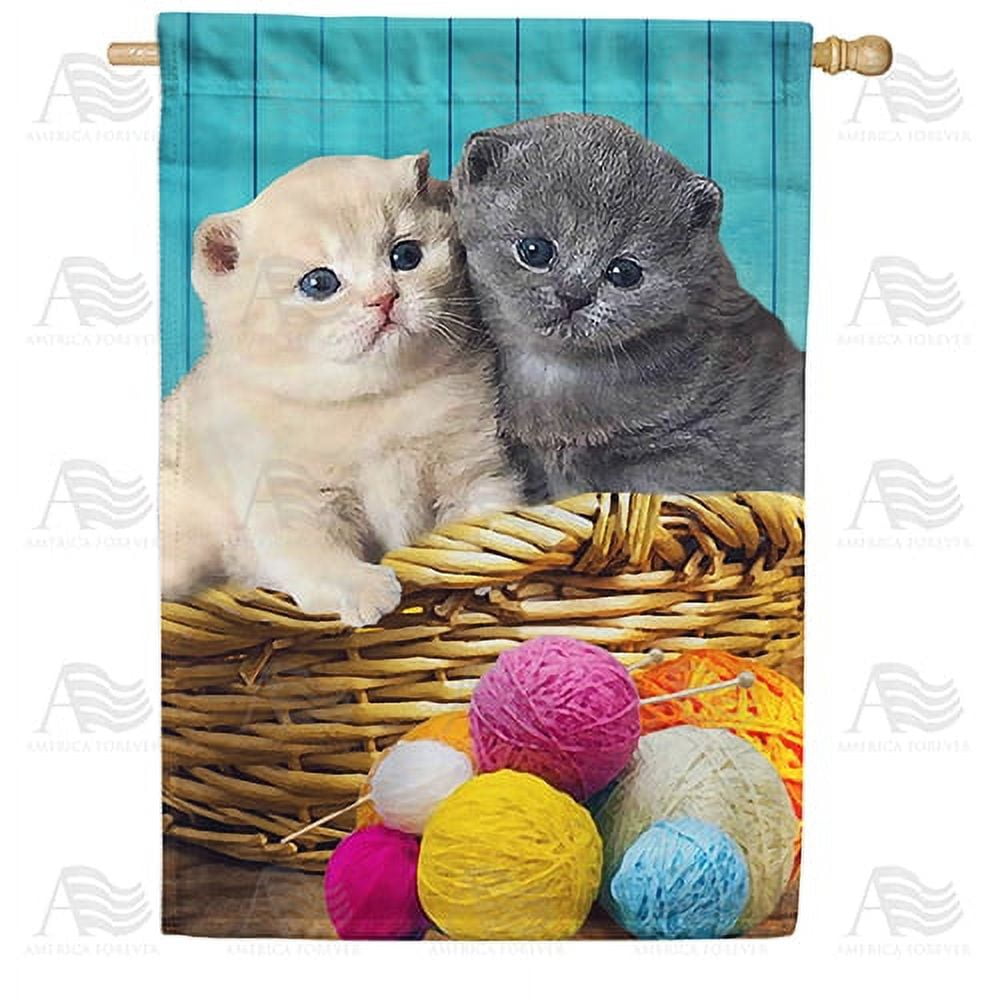 America Forever Spring Kitty House Flag 28 x 40 inches Double Sided Colorful Yarn Basket Cute Positive - Seasonal Yard Lawn Outdoor Decorative Summertime House Flag