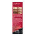 thumbnail image 5 of NEW Revlon Colorsilk Beautiful Permanent Hair Color, No Mess Formula, 073 Champagne Blonde, 1 Pack, 5 of 13