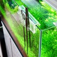 thumbnail image 3 of Storage Rack Acrylic Holder for Tweezer Scraper Scissor Fish Bowl Water Aquarium Grass Cleaning Tool Accessories, 3 of 8