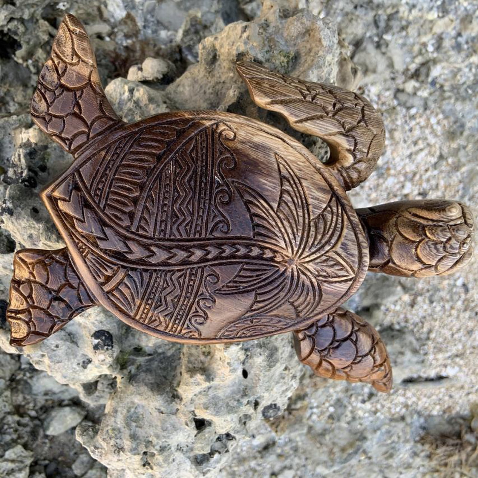 10+ Carved Wood Turtle