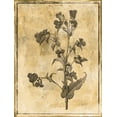 thumbnail image 2 of Grey, Jace 12x14 Gold Ornate Wood Framed with Double Matting Museum Art Print Titled - Stencil Floral, 2 of 4