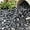 Black Gravel, variant on 10LB Black Pea Gravel for Landscaping, 3/8 Inch Black Pebbles for Plants Cactus Succulent Fish Tank and Garden Black Stones