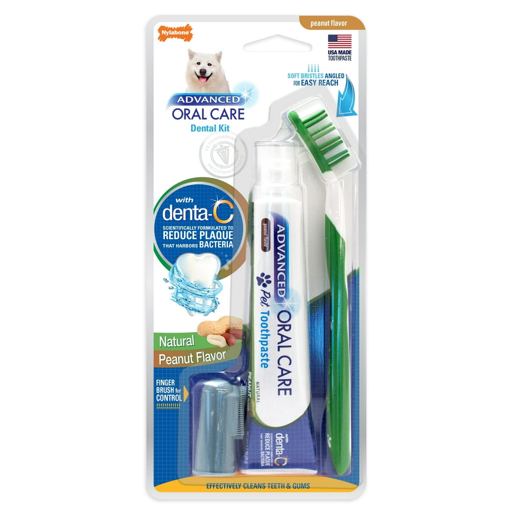 Nylabone Advanced Oral Care Natural Dog Dental Kit Peanut Flavor 2.5 oz