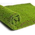 thumbnail image 1 of Lawn Decoration Foldable Fake Moss Design Artificial Grass，1x1m Simulation Artificial Moss Grass Turf Mat Home Lawn Garden Landscape Decor Coffee Dot#, 1 of 8