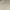 Beige, variant on Tungbrin Women's Round Neck Slim T Shirts 2025 Summer Fashion Casual Blouse Short Sleeve Stretchy Comfy Solid Color Tees