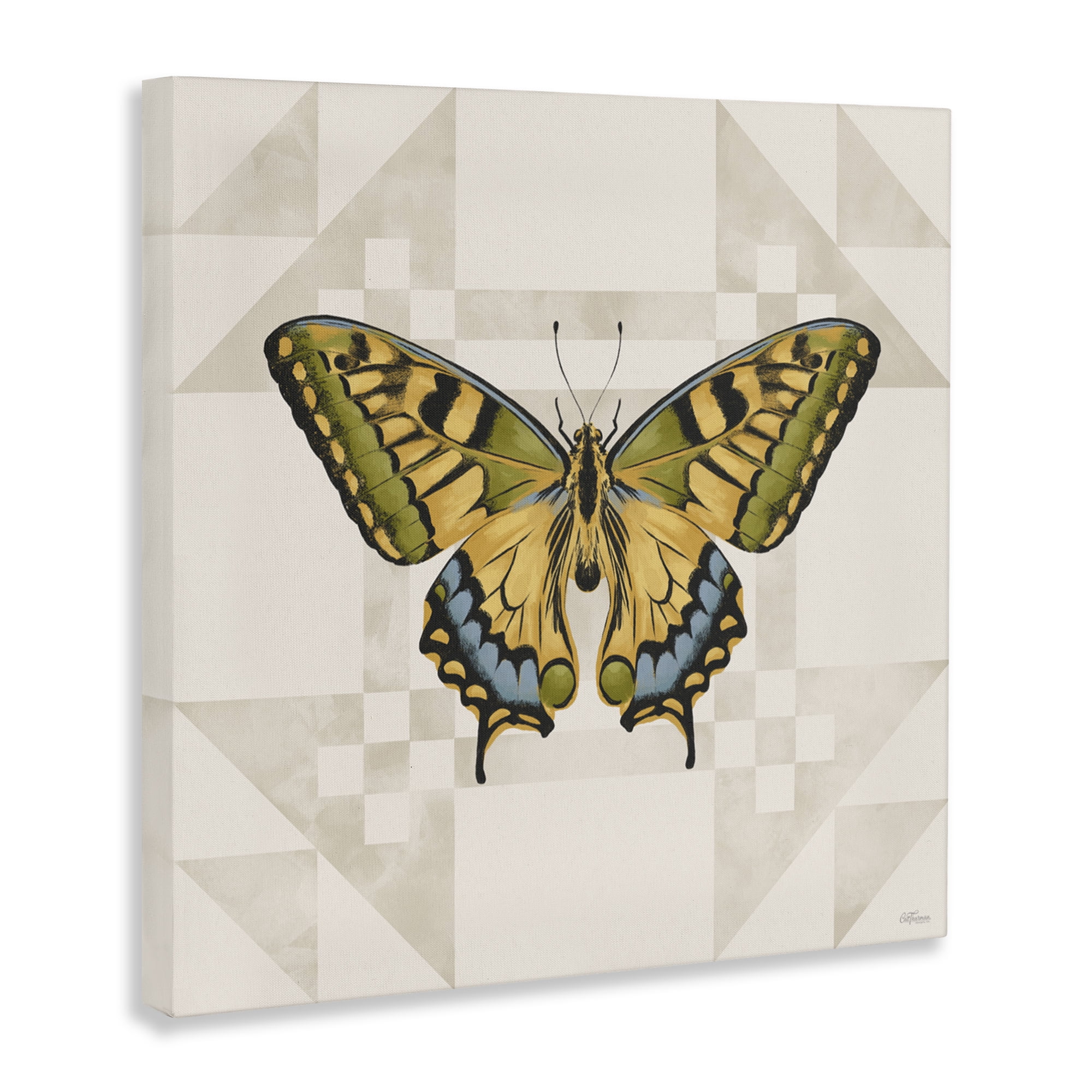Stupell Industries Green Swallowtail Butterfly Canvas Wall Art, design by Cat Thurman Designs