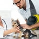 thumbnail image 4 of Portabebés para perros, portabebés ajustable para cachorros, bolso de transporte para mascotas, mochila para perros, bolsa de transporte para perros, animales pequeños, 4 of 7