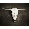 thumbnail image 2 of Ryan, Brooke T. 18x15 White Modern Wood Framed Museum Art Print Titled - Sepia Cattle Skull, 2 of 4