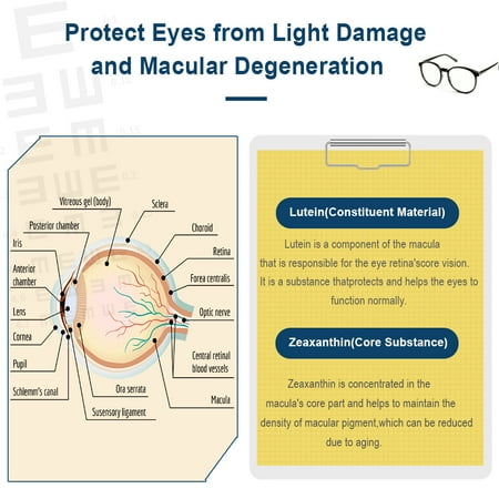 Dr. Brian Eye Vitamins Lutein & Zeaxanthin Capsule Lutein Supplement with Lutein 16mg Zeaxanthin 4mg Astaxanthin 5mg Vitamin A 2333iu Vitamin E 9iu for Macular Degeneration Dry Eyes Vision Health