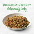 thumbnail image 5 of Purina Fancy Feast Dry Cat Food, Made with Ocean Fish & Salmon with Accents of Garden Greens, Gourmet Dry Cat Food for Adult Cats, 16 OZ Bag (Pack of 4), 5 of 7