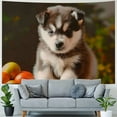 thumbnail image 4 of GOSMITH Tapestry Wall Hanging Adoration Siberian Summer Husky Puppy Tiger Animals Wildlife Black Cute Mammal Puppies Nature Pet Funny Tapestry for Living Room Bedroom Painting, 4 of 6