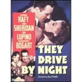 thumbnail image 1 of Pre-Owned They Drive by Night (Full Frame), 1 of 1