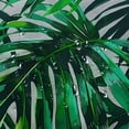 thumbnail image 5 of Fenyluxe Palm Leaf Shower Curtain Set Polyester Fiber Bathroom Curtain with Hooks Various Sizes Sustainable Easy to Install High Definition Digital Printing Easy Care 60"x72, 5 of 7