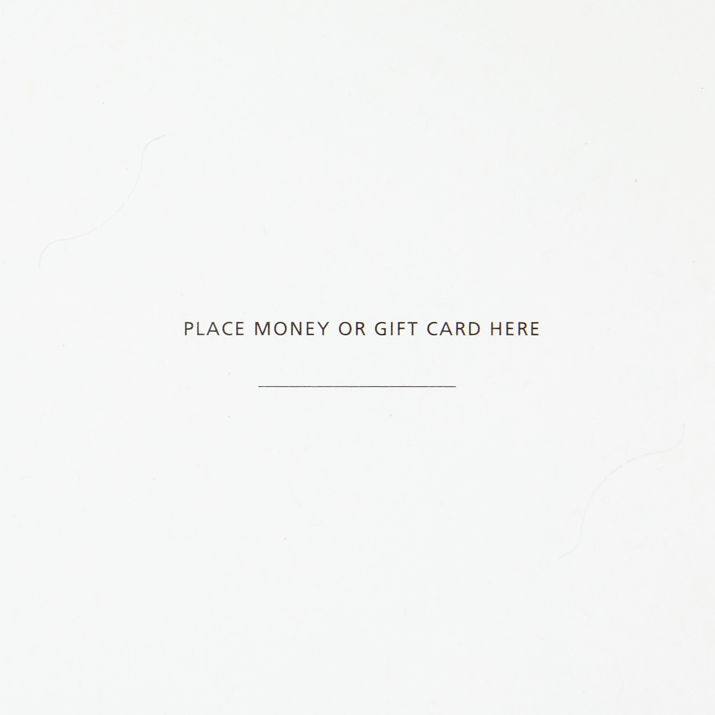 Connections from Hallmark Money Holder Graduation Cards, 10 ct. (Color Block Congrats)