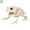 White Frog, variant on Jahhsay® SKELETON DOG HALLOWEEN DECORATION LIGHT UP SPOOKY PARTY DECORATION NEW C1Z3