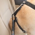 thumbnail image 4 of Cinturón de seguridad para perros Kurgo Direct to Seat Belt paquete de 2, 4 of 13