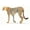 Unframed, variant on Art.com Wild and Free VII Bold Art Print by James Wiens, 36" x 24"