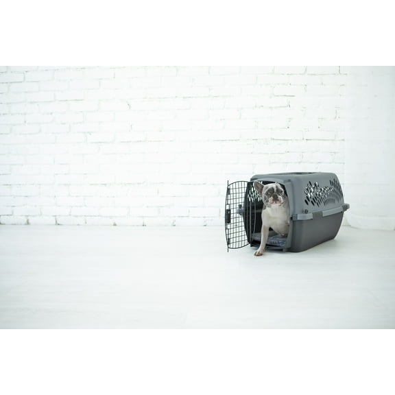 Petmate Pet Porter Dog Kennel Plastic Pet Carrier, 26" for Pets 20 to 25 lb, Dark Gray