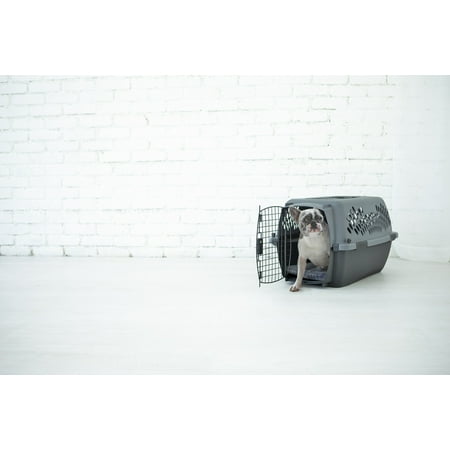 Petmate Pet Porter Dog Kennel Plastic Pet Carrier, 26" for Pets 20 to 25 lb, Dark Gray