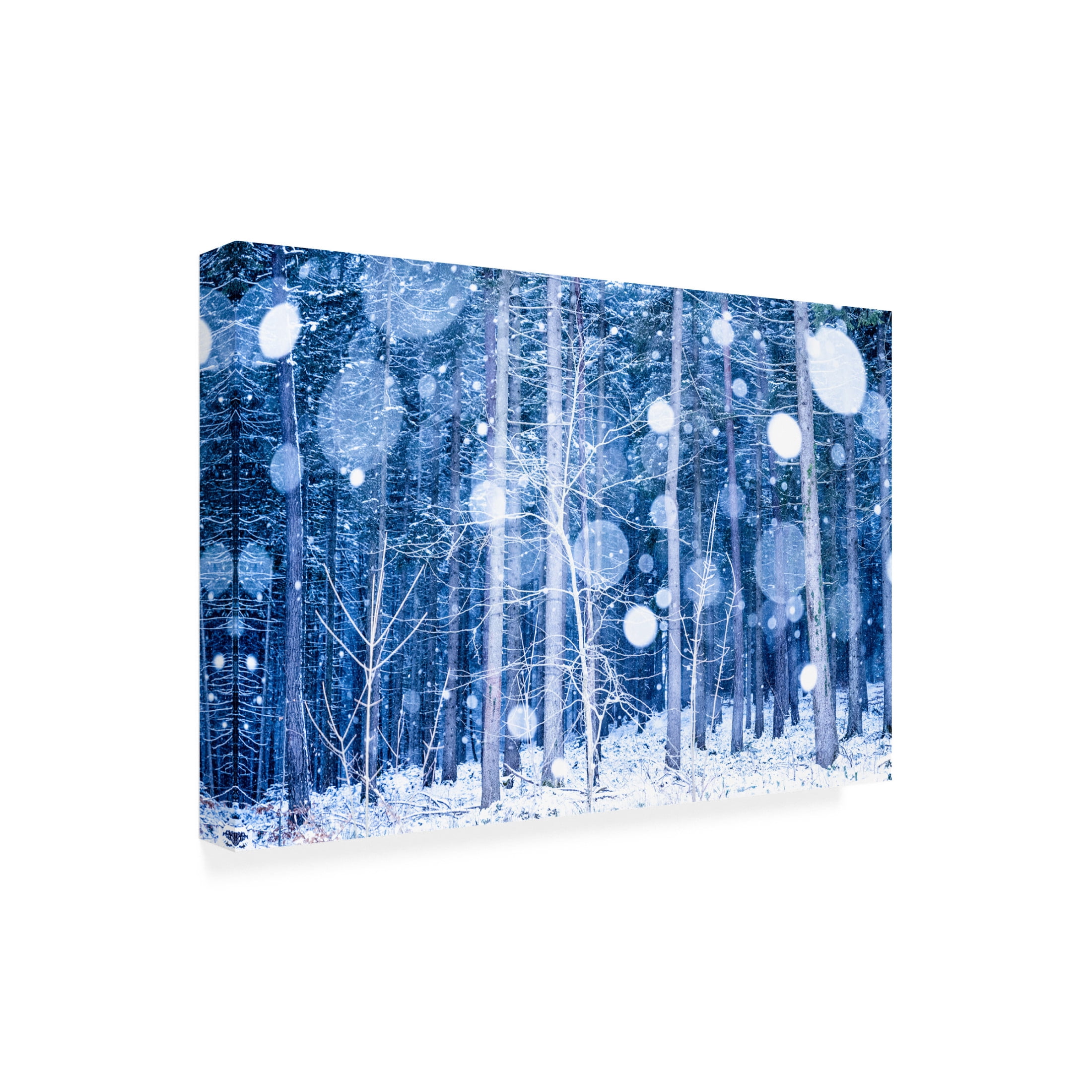 Trademark Fine Art Ulrike Eisenmann Snowscape Canvas Wall Art