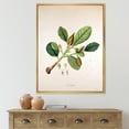 thumbnail image 2 of Designart 'Ancient London Plants I' Farmhouse Framed Canvas Wall Art Print, 2 of 5