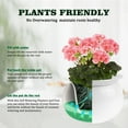 thumbnail image 5 of EFISPSS 6" Self-Watering Ceramic African Violet Pots – White Gradient | Minimalist Home Decor, 5 of 13