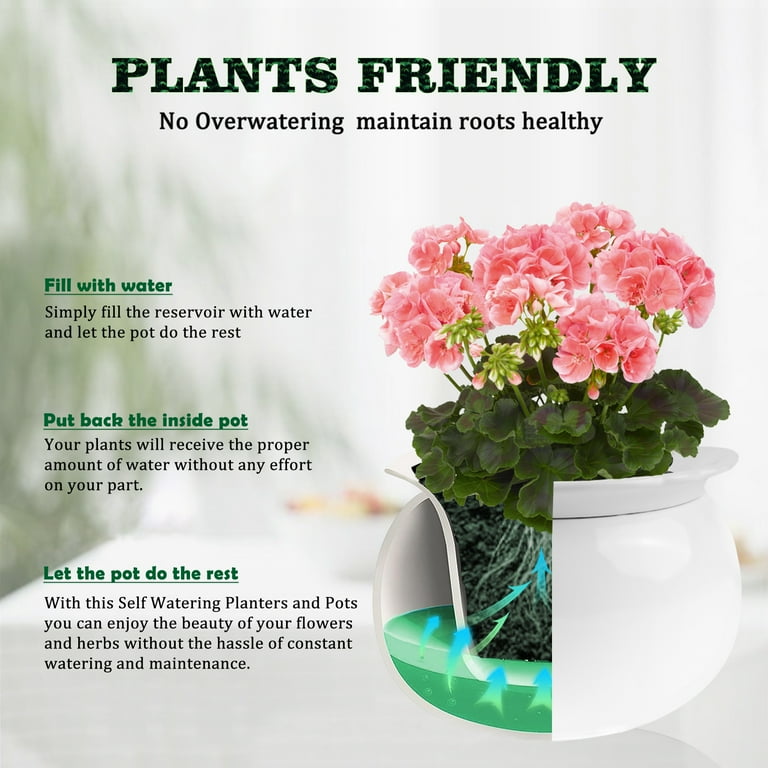 garden insect spray Monterey Garden Insect Spray Spinosad 1 Quart