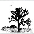 thumbnail image 3 of CafePress - Joshua Tree National Park T Shirt - Men's Classic Graphic T-Shirt, 3 of 4
