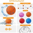 Dog ball: Interactive dog ball, automatically rolling and bouncing self ... - Interactive Orange Dog Crate Toys