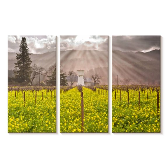 Elephant Stock Napa Valley Vineyards Wall Art - Horizontal Multi Panel Canvas - Hallway Wall Decor - Nature Multi Panel - Green And Yellow Decor - 23" x 14"