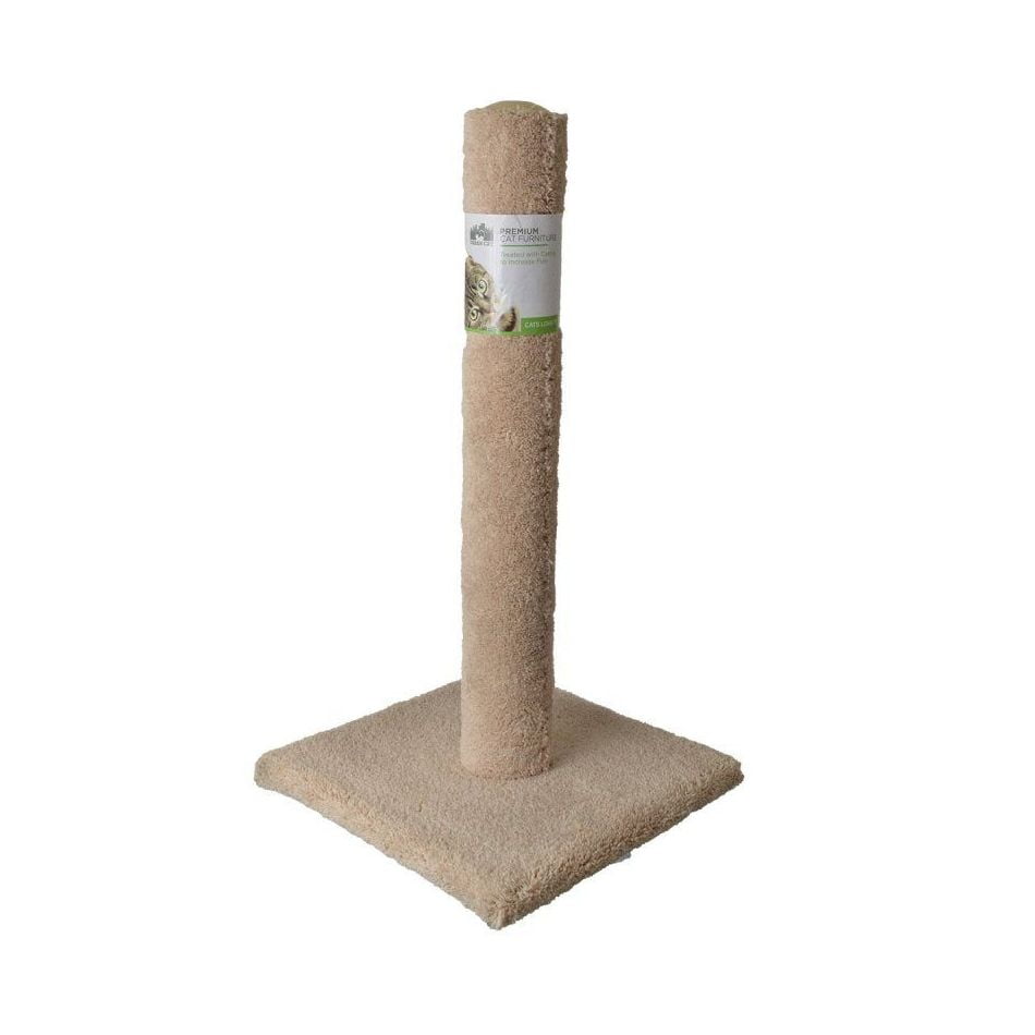 Photo inspiration: Picture Idea: Urban Cat Cat Carpet Scratching Post