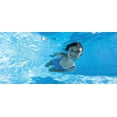 thumbnail image 6 of INTEX Easy Set 8ft x 24in Inflatable Pool Set w/ Filter Pump & Accessories, 6 of 6