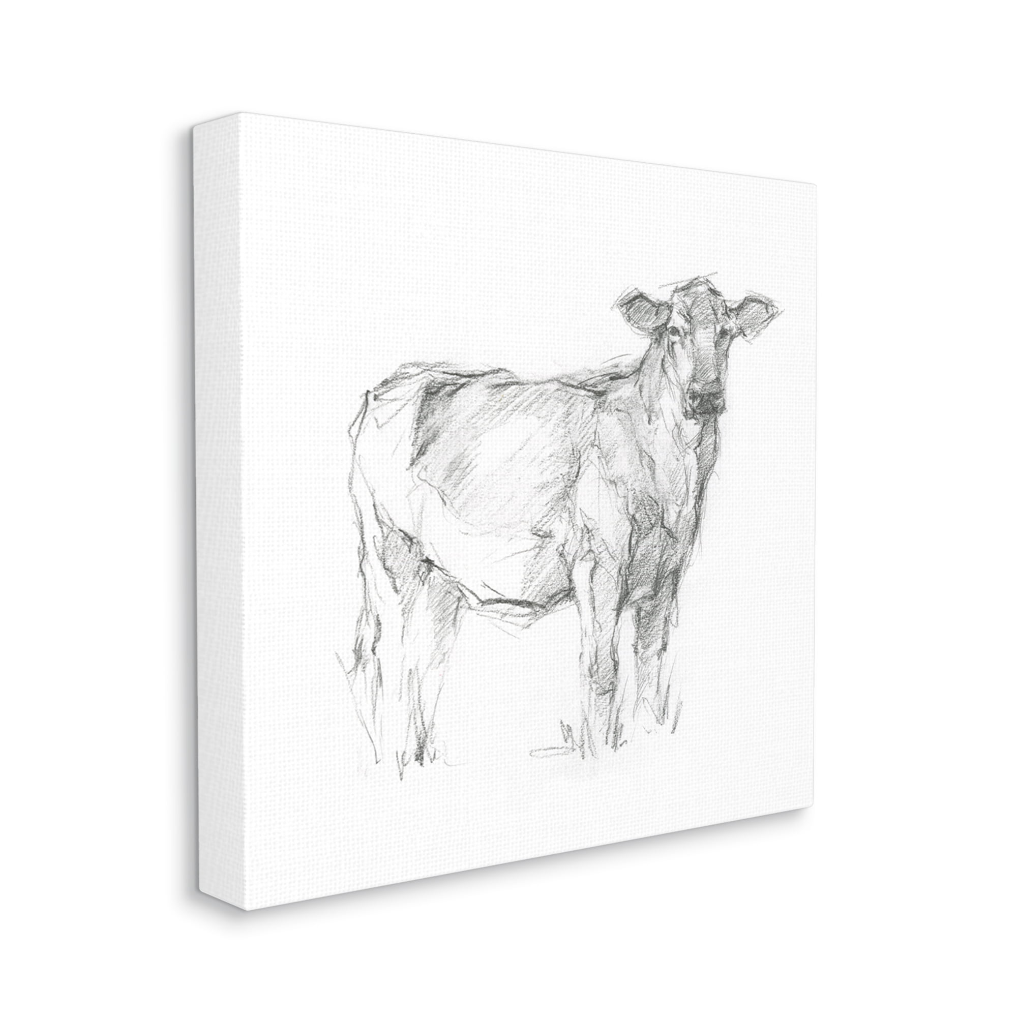 Stupell Industries Minimal Cattle Sketch Animals & Insects Drawing Gallery Wrapped Canvas Print Wall Art, 17 x 17