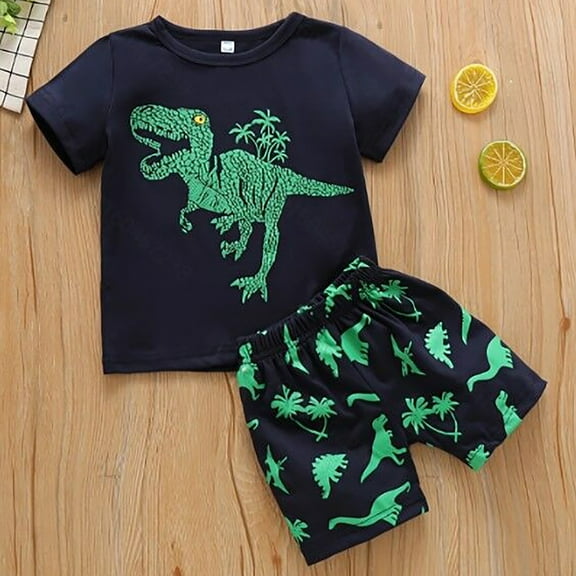 Huanglei Toddler Kids Boys Summer Short Sleeve Dinosaur T Shirts Tops Shorts Outfits Clothes Set 2 To 7 Years