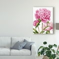 thumbnail image 3 of Trademark Fine Art 'Winsome Peonies II' Canvas Art by Grace Popp, 3 of 4