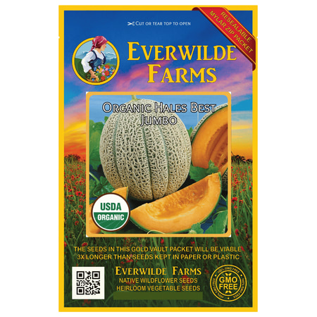 Everwilde Farms - 25 Organic Hales Best Jumbo Melon Seeds - Gold Vault Jumbo Bulk Seed (Best Way To Seed)