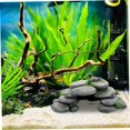 thumbnail image 4 of Grotte d'Aquarium Réaliste Maison de Tortue de Roche en Résine Cache de Reptile avec Plateformes pour Tortues Habitat pour Axolotl Poisson, 4 of 6