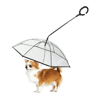 Dog sun outlet umbrella