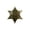 Style 10, variant on Six-pointed Star Police Brooch Vintage Western Metal Sheriff Badge for Cowboy Party Decor Women Men Lapel Pins Jewelry Accessories