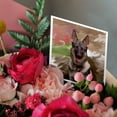 thumbnail image 3 of 3drose, German Shepherd, 6 Greeting Cards with Envelopes, 3 of 7