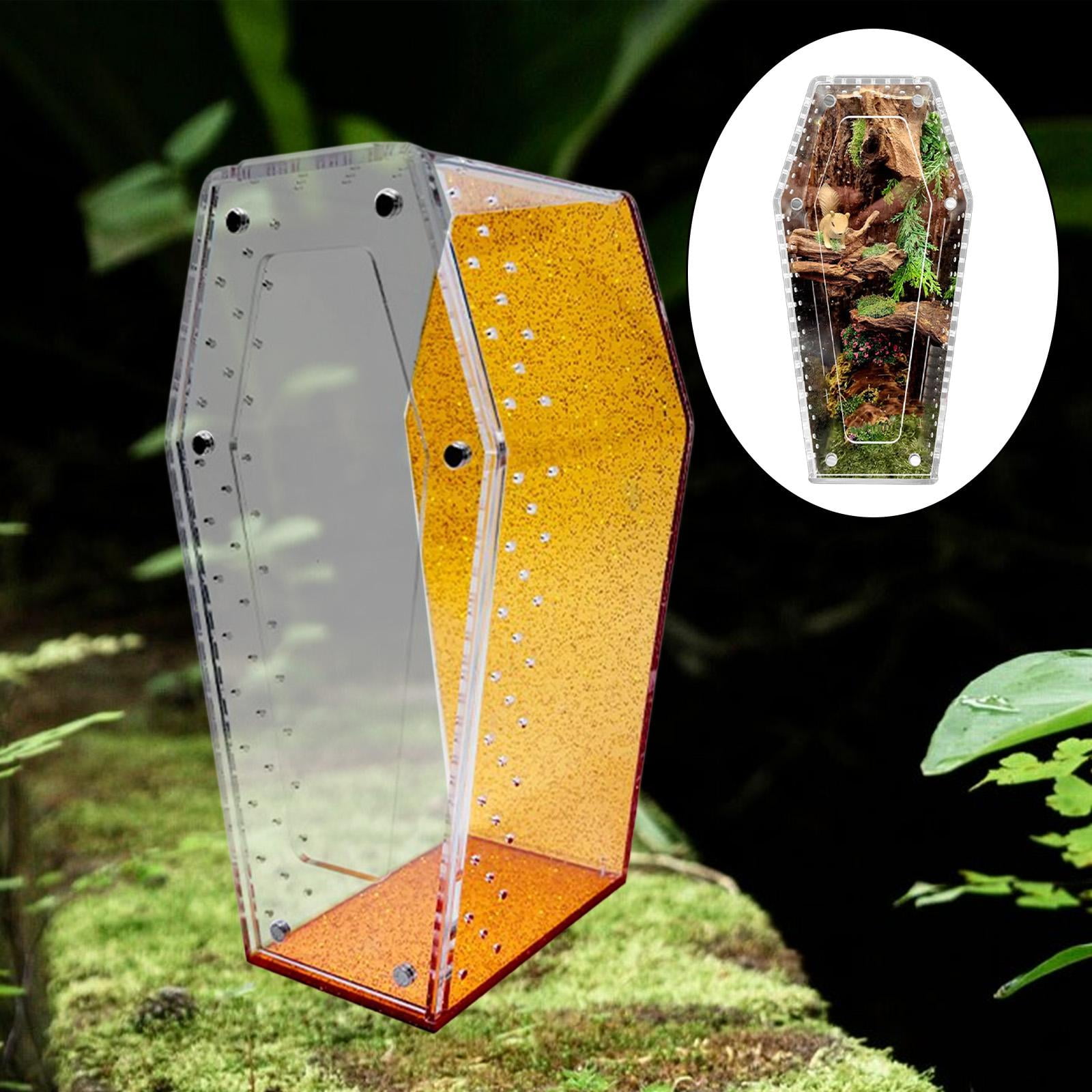 Fzaqwen -shaped Acrylic Terrarium for Jumping Spiders, Tarantulas, And Amphibians. Ventilation And Habitat for Amphibians. Ideal for Crabs. Orange