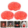 thumbnail image 2 of 3Pcs Human Organ Simulation Realistic Style For Teaching Demonstration, 2 of 8