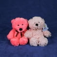 thumbnail image 4 of Set de 6 piezas Osos Mix Flomo color rosa surtidos de peluche, 4 of 5