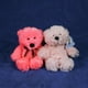 thumbnail image 4 of Set de 6 piezas Osos Mix Flomo color rosa surtidos de peluche, 4 of 5