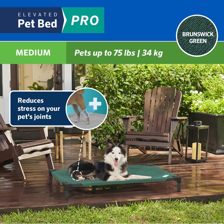 Coolaroo Pro Elevated Dog Bed - Low-Profile, Moisture-Resistant, Crate-Sized For Place Training (Brunswick Green)
