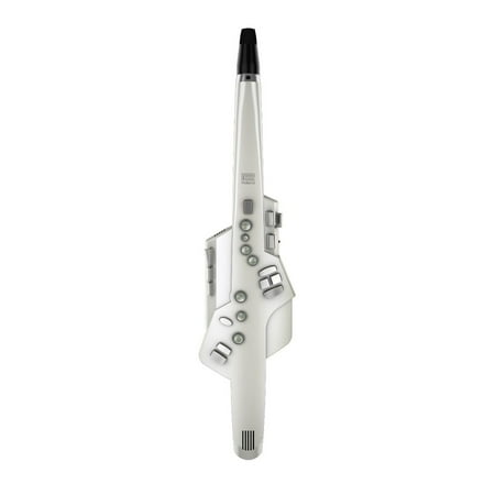 Roland Aerophone AE-10 Digital Wind Instrument (Silver)