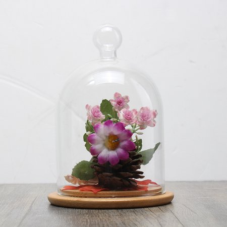 How To Preserve Flowers In A Vase And Cellar Image Avorcor Com Clear Gl Display Cloche Bell Jar Dome Flower Preserve Vase