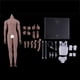 thumbnail image 2 of 1 Pieza Cuerpo de Masculina Muscular de Plástico y Metal con 1 Traje 1/6 Piel oscura Zulema Cuerpo de figura de acción a escala, 2 of 8